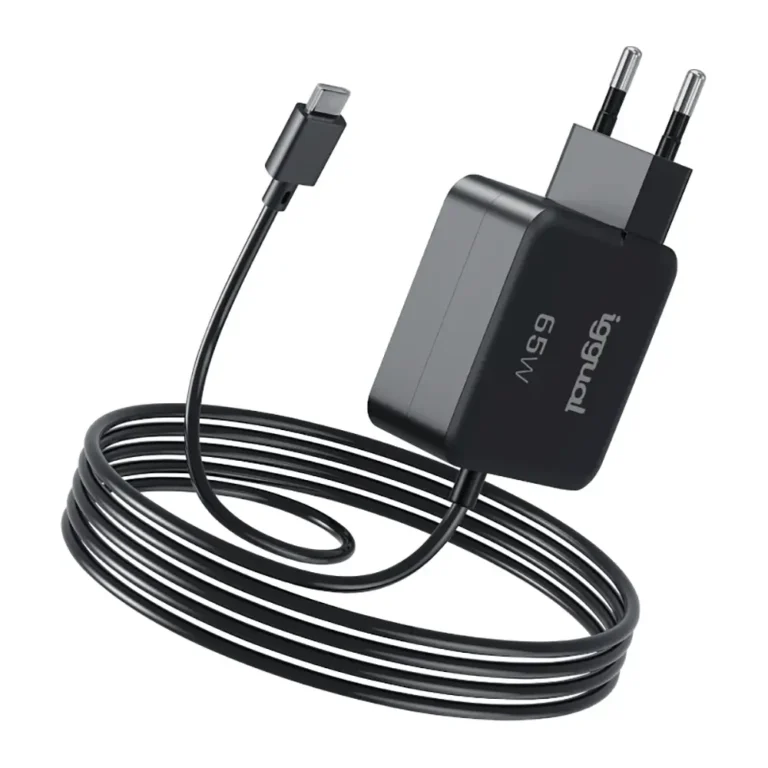 Iggual Portátil y Móvil tipo C PD 65W