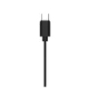 Philips TAE2146BK/00 Auriculares Intrauditivos con Micrófono Alámbricos USB-C