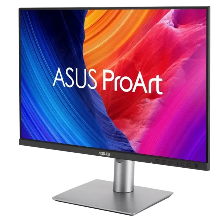 Asus ProArt Display PA248QFV Monitor Profesional 24.1" WUXGA 100Hz IPS MM Negro y Plata