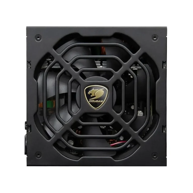 Cougar GR 1000w Fuente Gaming 1000W 80+ Modular ATX Negro