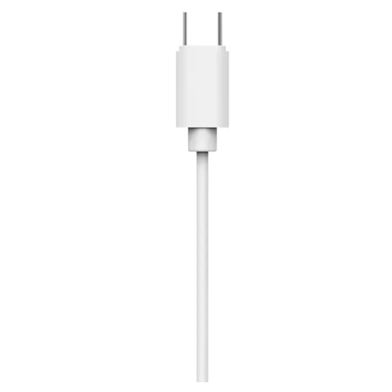 Philips TAE2146WT Auriculares Intrauditivos con Micro USB Tipo-C Blancos