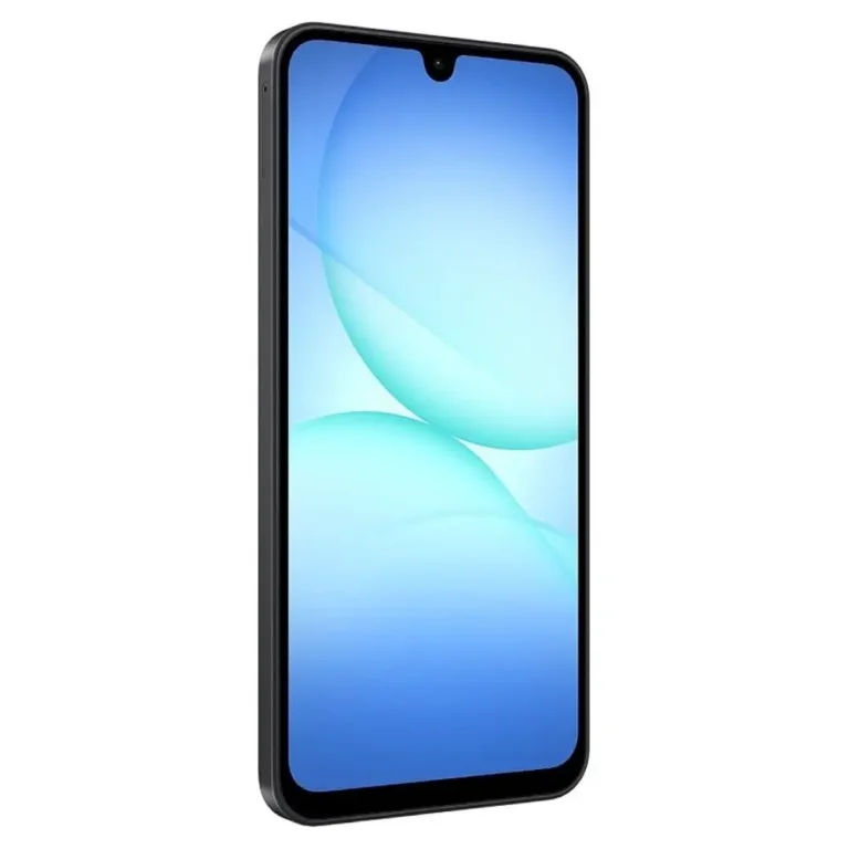 Samsung Galaxy A17 5G SM-A176BZKAEUE 4GB 128GB 6.7" USB-C Negro
