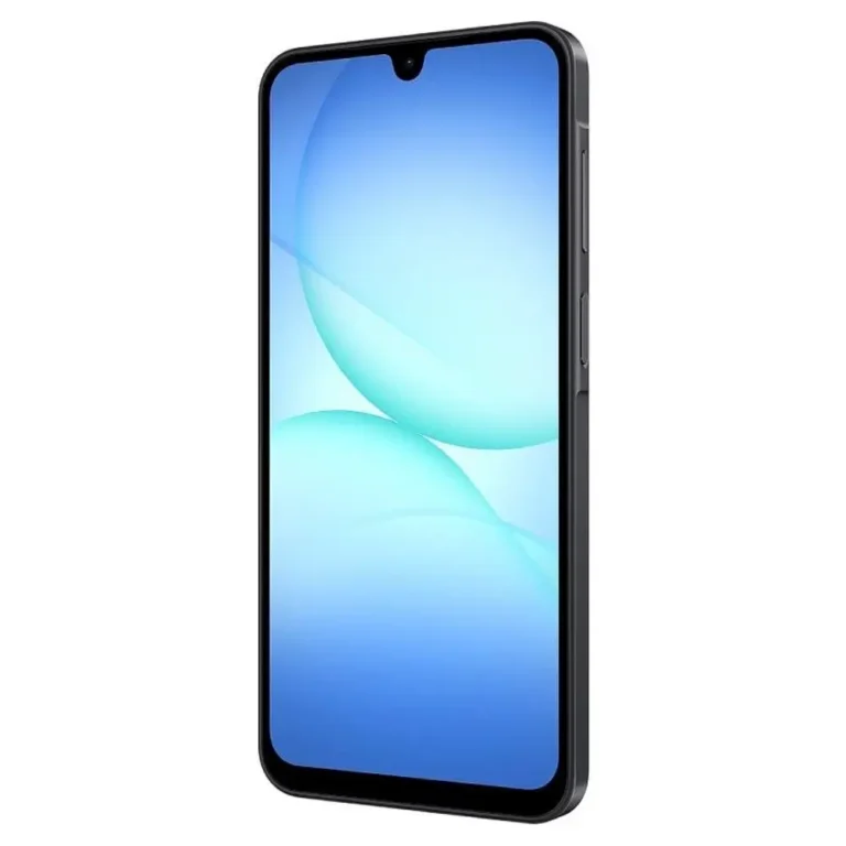 Samsung Galaxy A17 5G SM-A176BZKAEUE 4GB 128GB 6.7" USB-C Negro