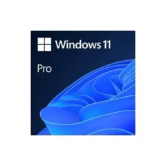 MICROSOFT WINDOWS 11 PRO 64B ES OEM DVD