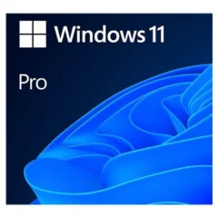 MICROSOFT WINDOWS 11 PRO 64B ESD