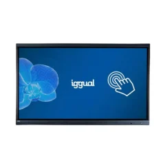 Iggual Pantalla interactiva 4K ORCHID 65"