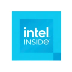Intel 300 Procesador DUAL Core Box