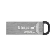 Kingston DataTraveler DTKN 256GB USB 3.2 Gen1 Plata