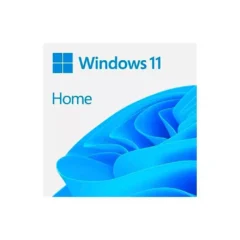 Microsoft Windows 11 Home 64b ESD