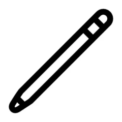 Apple Pencil Pro MX2D3ZM/A