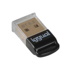 Iggual IGG319383 Adaptador USB 2.0 mini Bluetooth 5.3